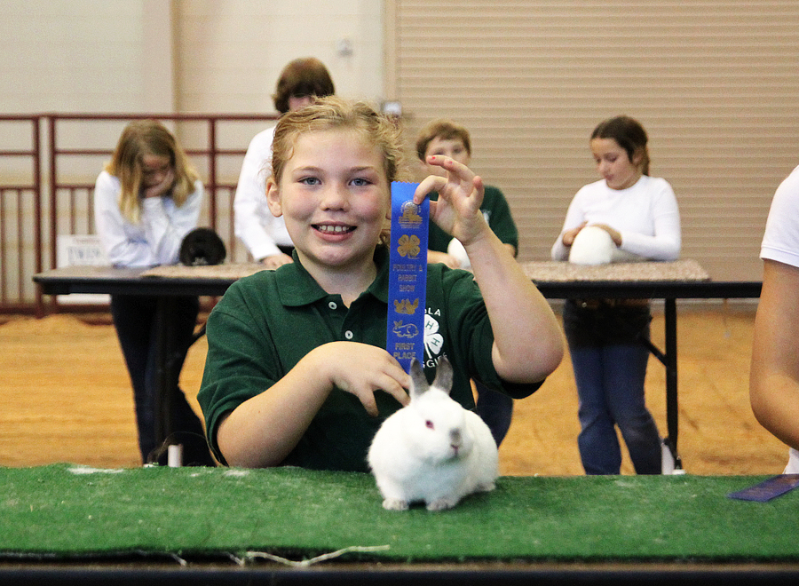 4H a year with rabbits Mommy Blogs JustMommies