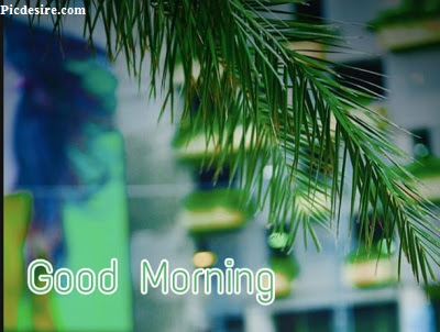 These Best 99+ Good Morning Images will make your day These Best 99+ Good Morning Images will make your day