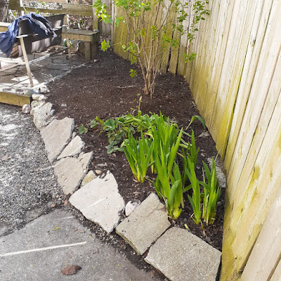 Toronto Spring Garden Cleanup in Little Portugal After by Paul Jung Gardening Services--a Small Toronto Gardening Services Company