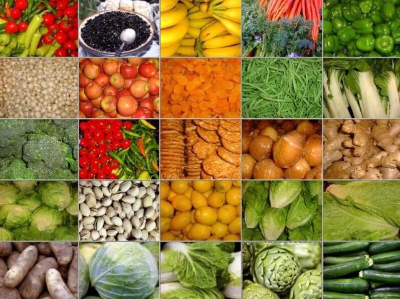 Keunggulan Potensi Sumber Daya Alam Hayati Di Berbagai Wilayah