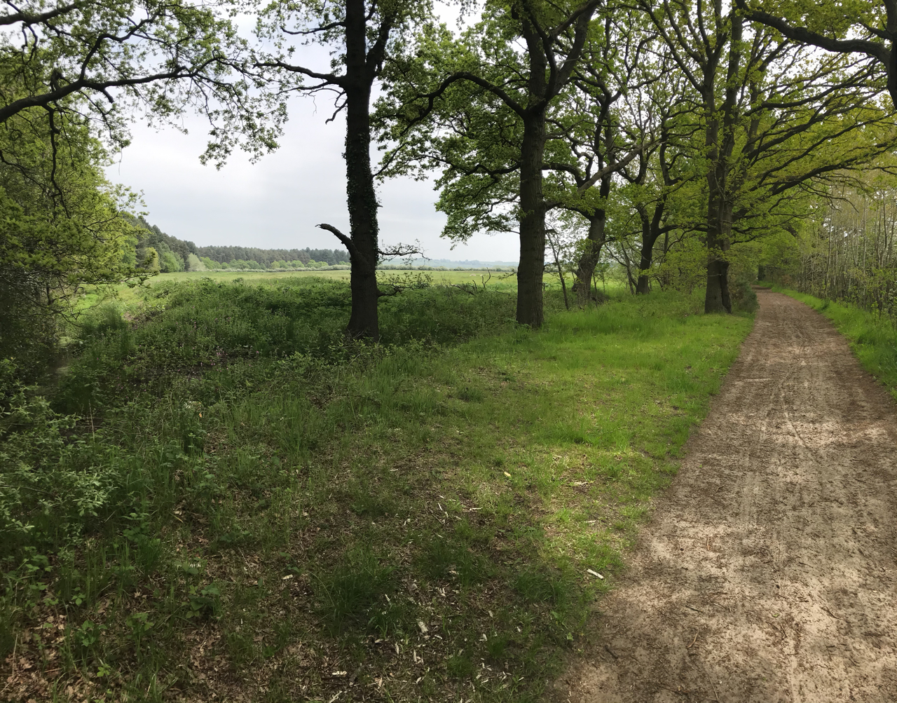 These Boots Were Made for Walking Lindsey Trail, part one. Circular