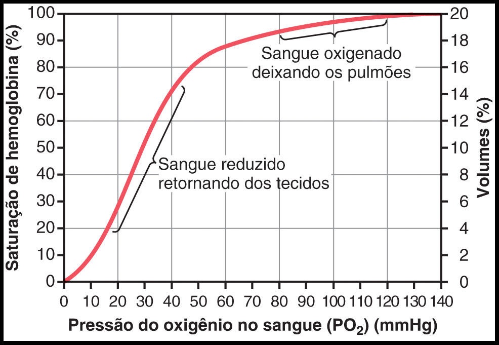 Plantando Ciência Fisiologia Respiratória II Plantando Ciência Fisiologia Respiratória II