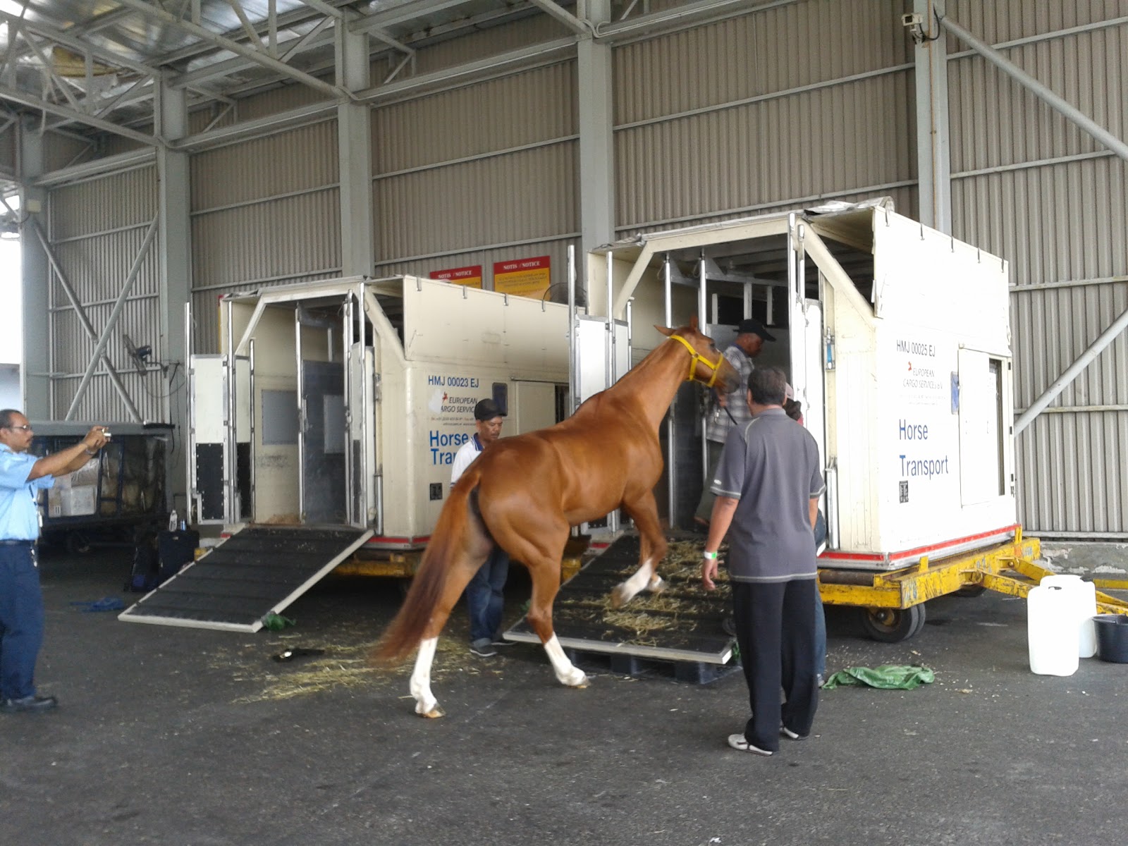 Ajanaz Quarantine & Horse Services Quarantine & Horse Services Malaysia