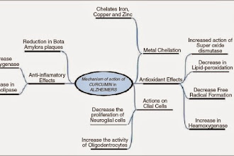 Cúrcuma, a Especiaria dos Deuses!