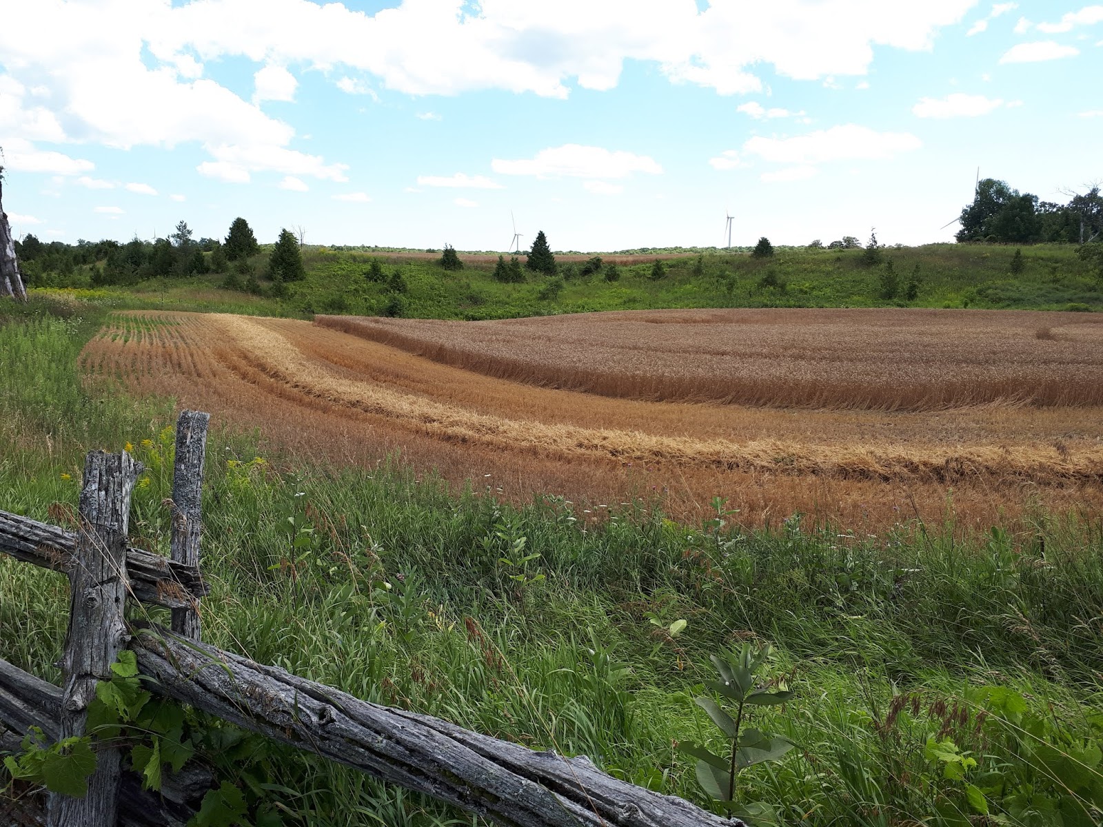 Chillin' with Patsy: Laundry, Keady, Last Happy Hour and Campfire for a ...