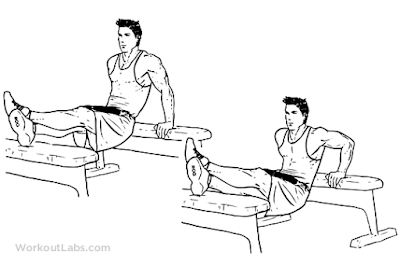 Cara Memperbesar Otot Lengan di rumah dan gym dengan cepat