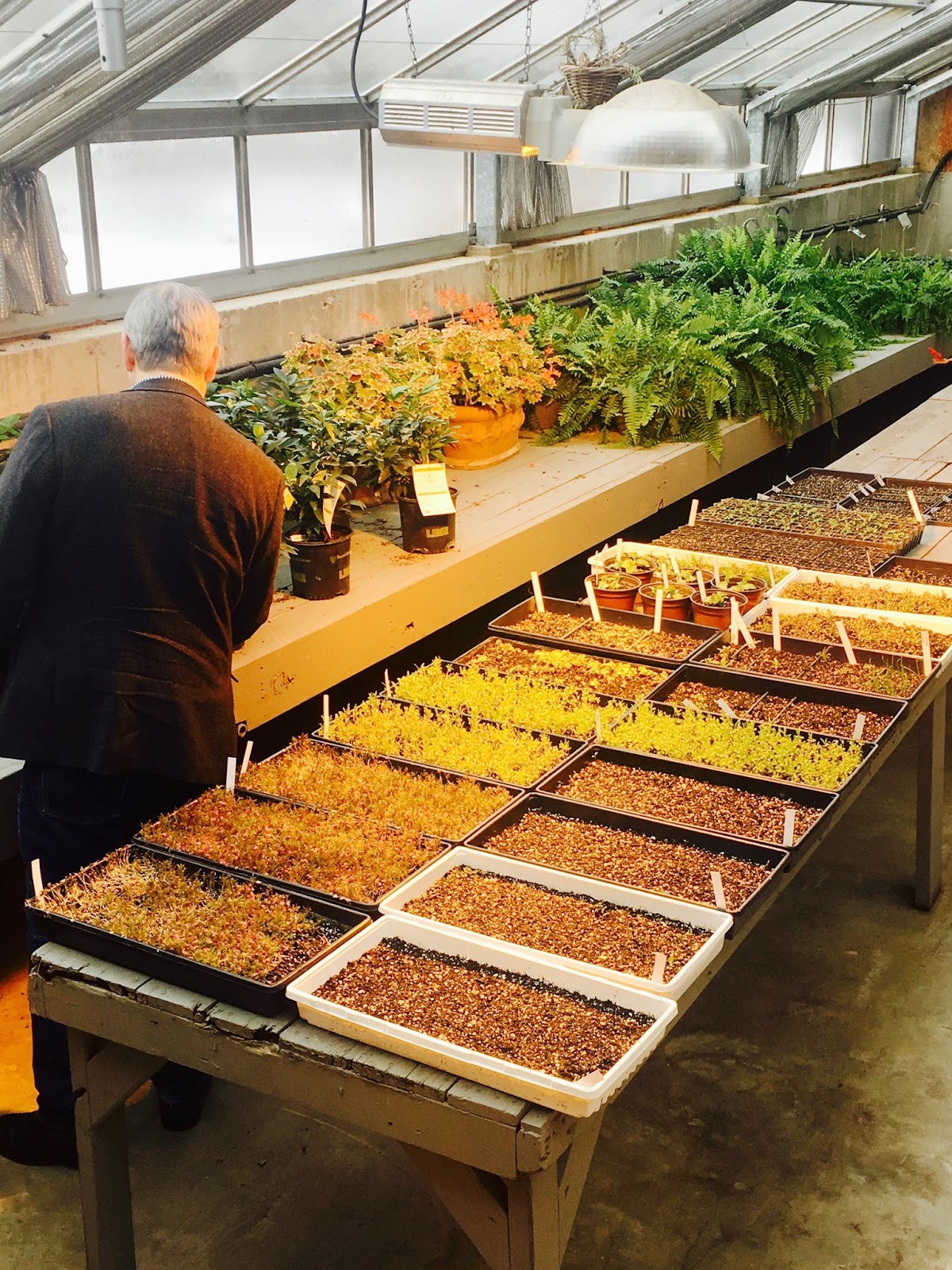 Mop Philosophy Winter Gardens at Langdon Hall