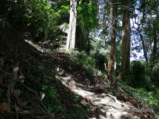 Trail Guide to Ketumbar Hill Hiking