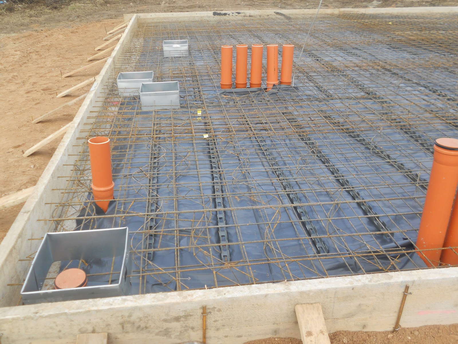 Ein Haus für Mensch, Hund, Katze und Maus: alles bereit für die