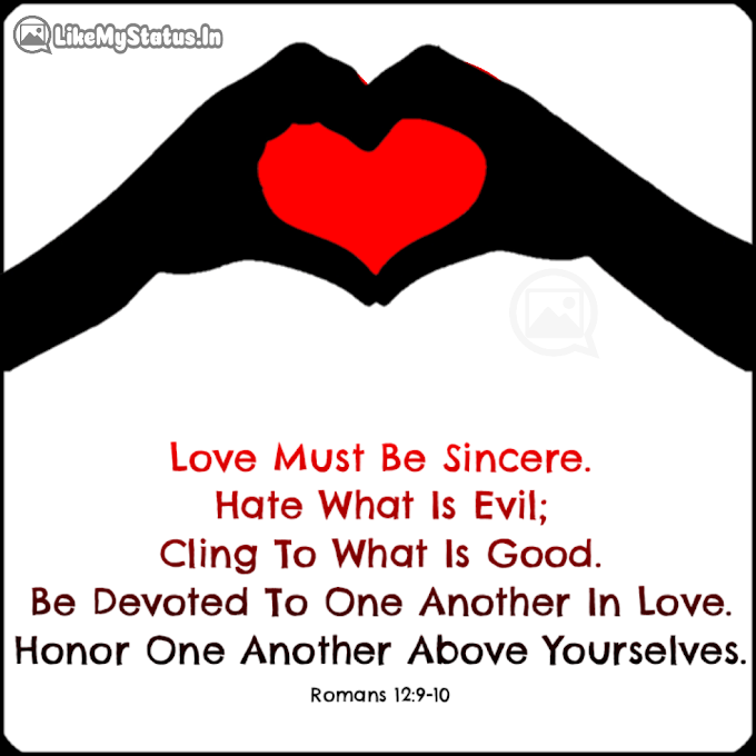 Love Must Be Sincere... Bible Verse About Love...