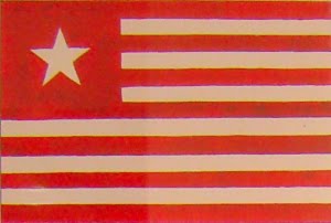 The Flag of the Dr. James Long Expedition 1819 and 1821