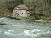 River Taw - Devon