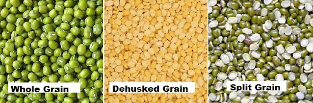 Cultivation of Green Gram ( Moong) ; A complete Information Guide Cultivation of Green Gram ( Moong) ; A complete Information Guide