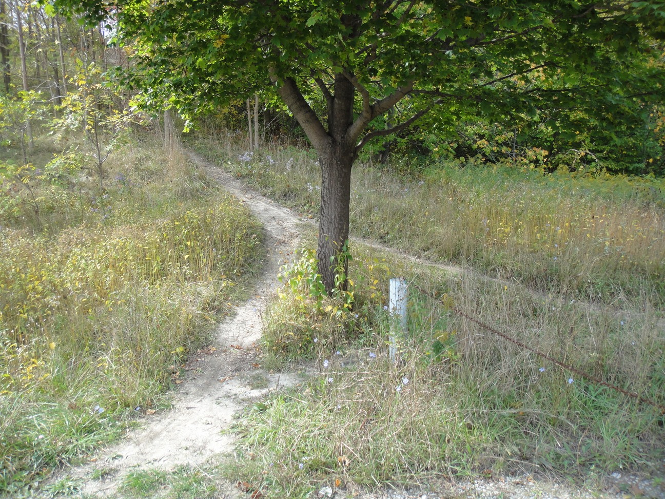 Don Watcher: Getting to the Brick Works from Pottery Road