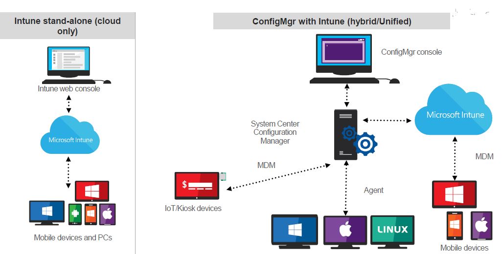 [DIAGRAM] Microsoft Intune Architecture Diagram - MYDIAGRAM.ONLINE