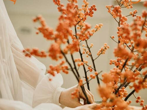 Everything Fall 2020