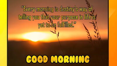 Amazing Good Morning Motivational Quotes and Sayings