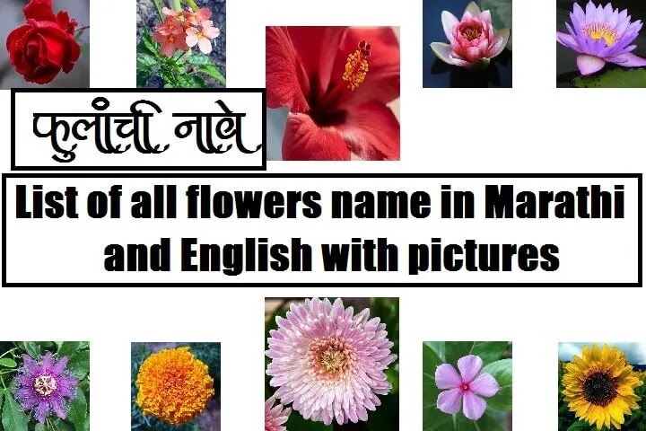 फुलांची नावे, Flowers names in Marathi फुलांची नावे, Flowers names in Marathi