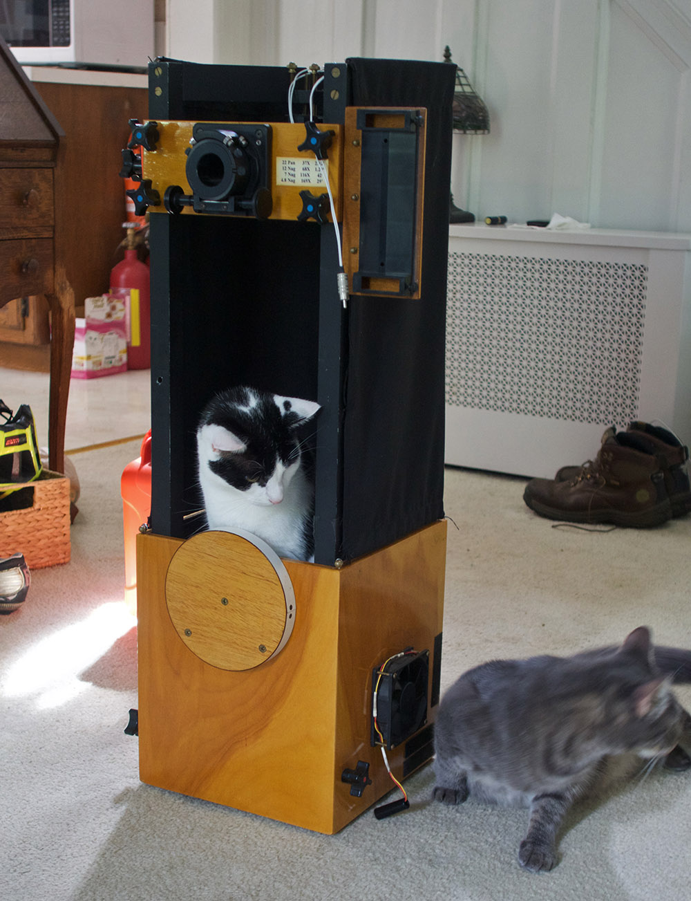 cat telescope
