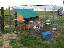 chicken coop farmland freeways
