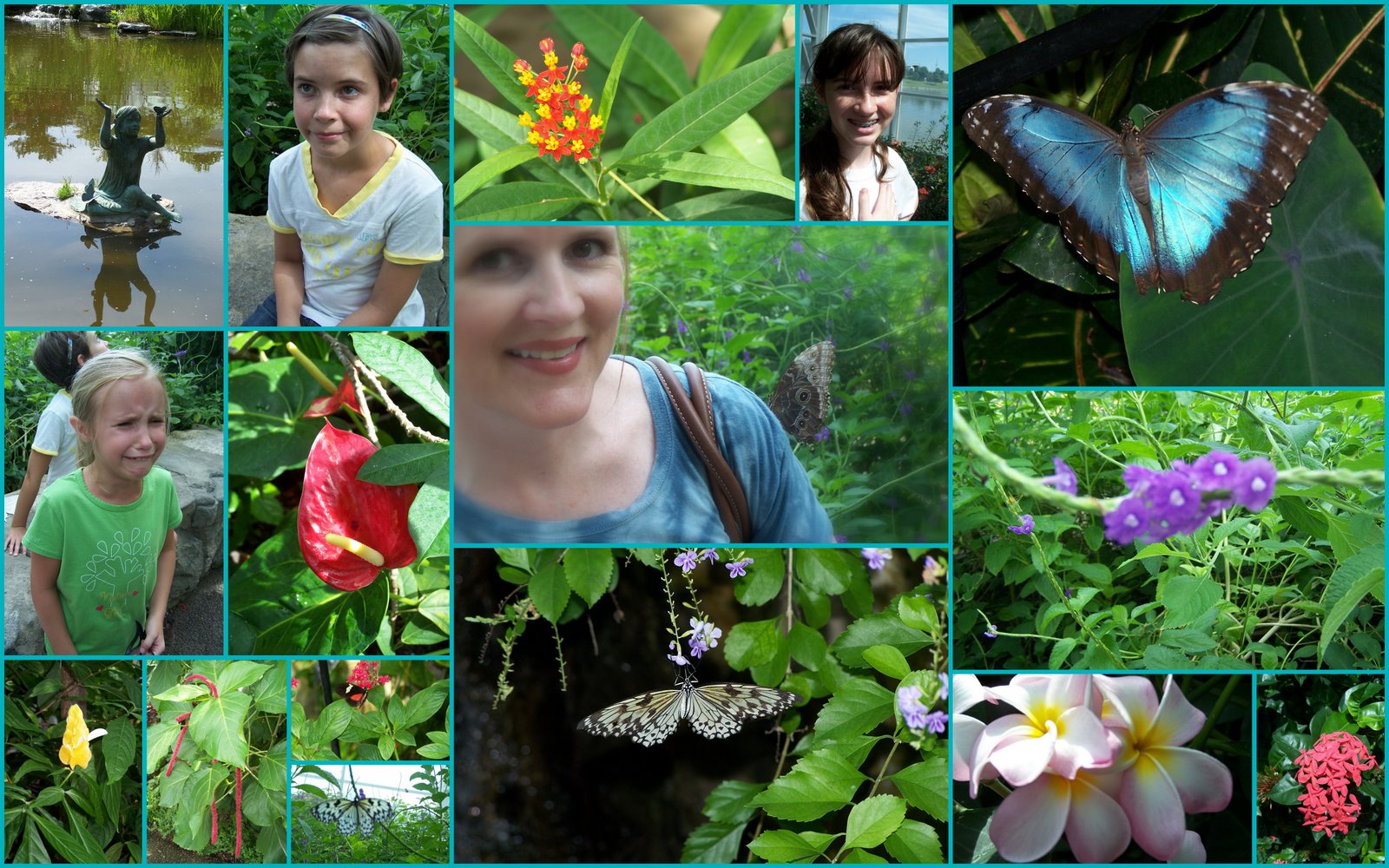 HoopDeDoo & Falderal Butterfly House 2011