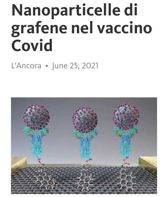 Vaccino-nanoparticelle-magnetiche-grafene