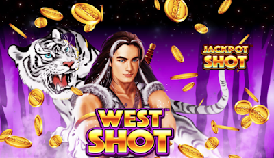 Các tính năng đặc biệt trong game West Shot