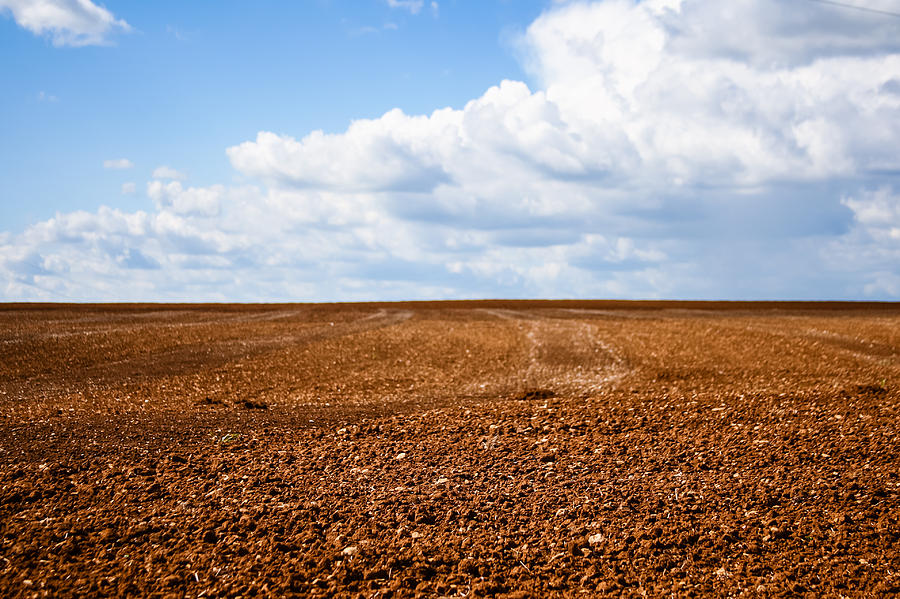 A Tilled Field