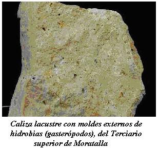 Sierra de Estepa (Sevilla): CALIZAS: CLASIFICACIÓN, USOS Y TIPOS