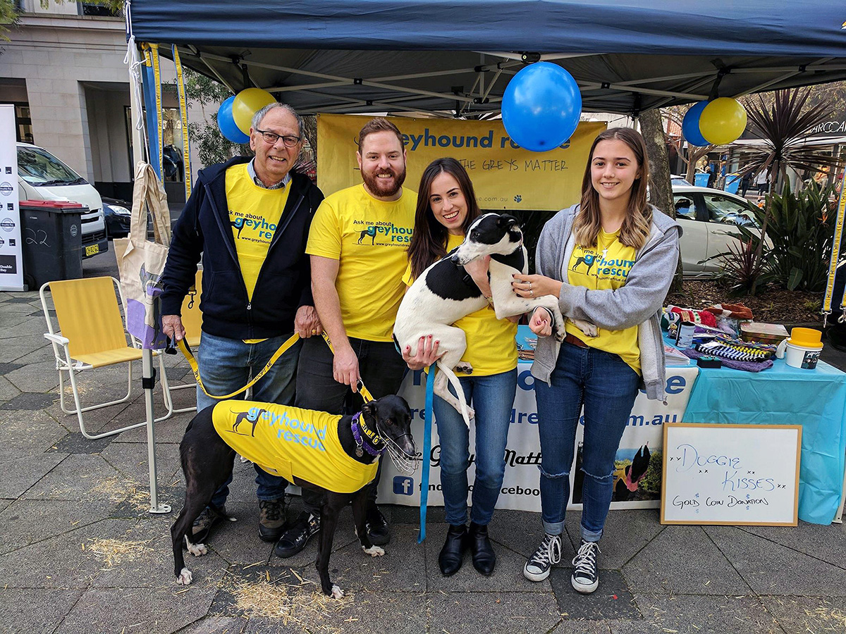 Greyhound Rescue named Finalist in 2019 Rescue Awards