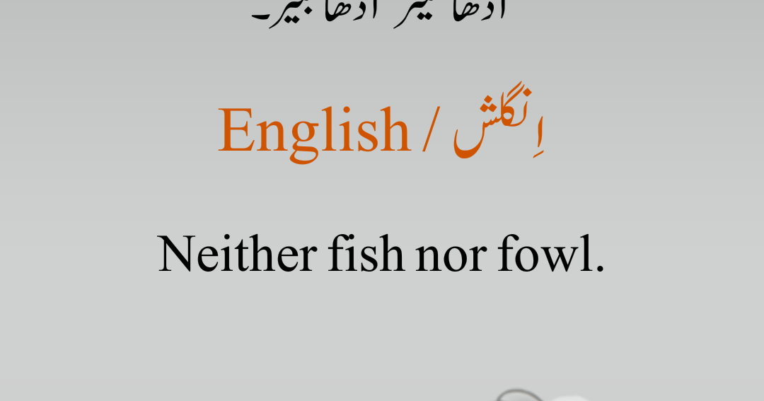 DIL KI DUNYA اردو انگریزی ضرب المثل آدھا تیتر آدھا بٹیر Neither fish