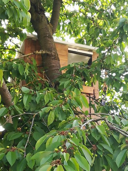 Mueblesdepalets.net: casa