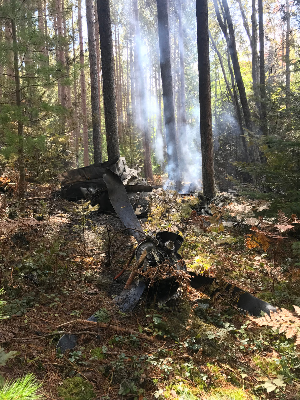 MEC&F Expert Engineers The pilot was killed after the 1977 Beechcraft