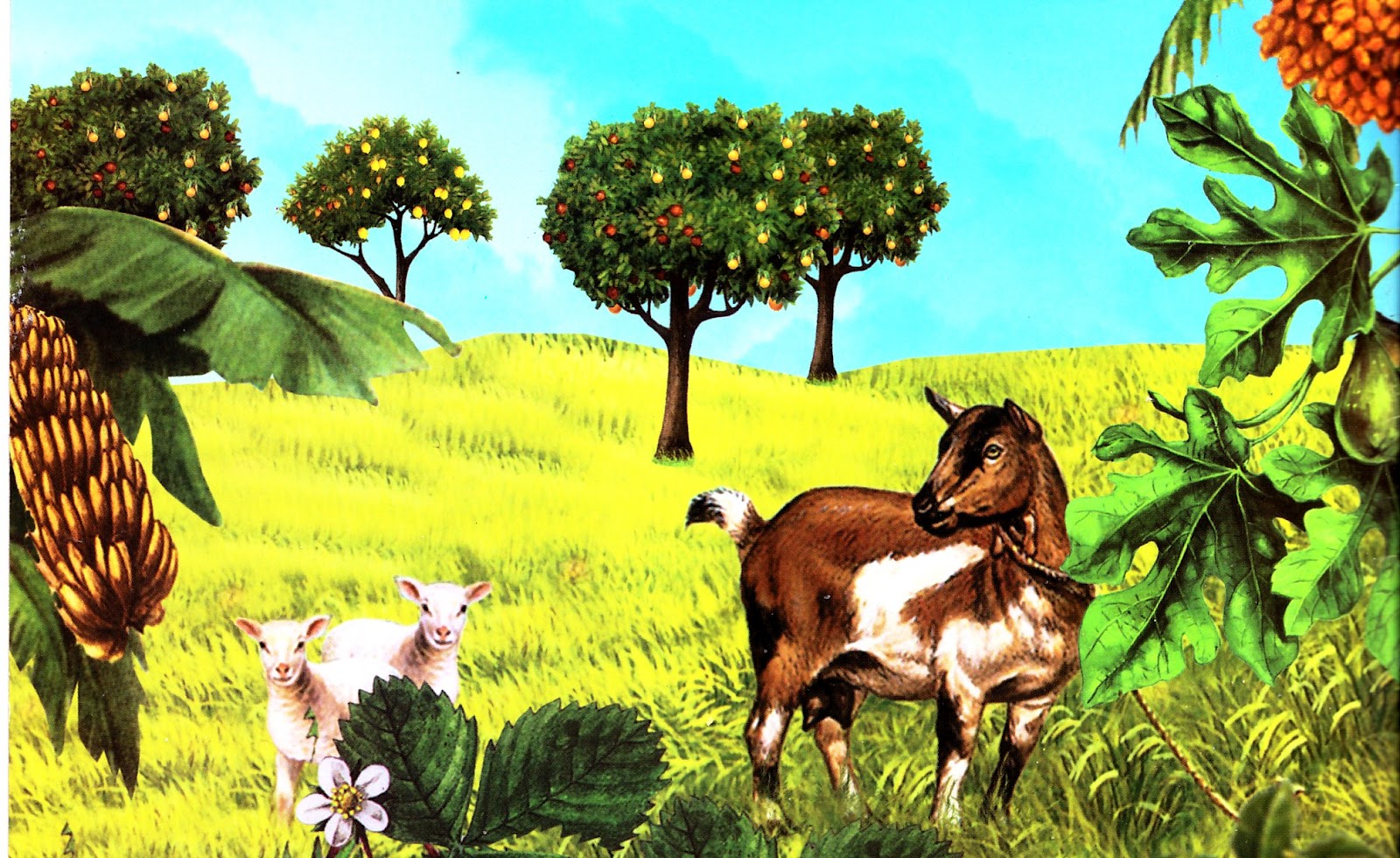 بحث حول أهمية الشجرة في الحياة وحماية بعض النباتات والحيوانات من الصيد والحرائق الموسوعة المدرسية