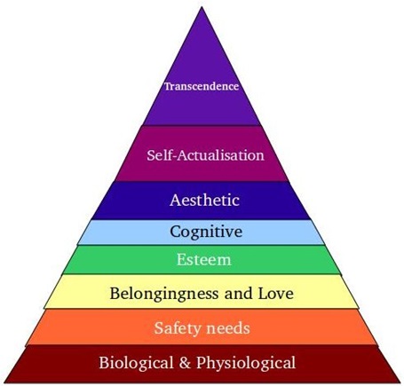 maslow hierarchy transcendence maslows transformational transactional rivera physiological warmth air