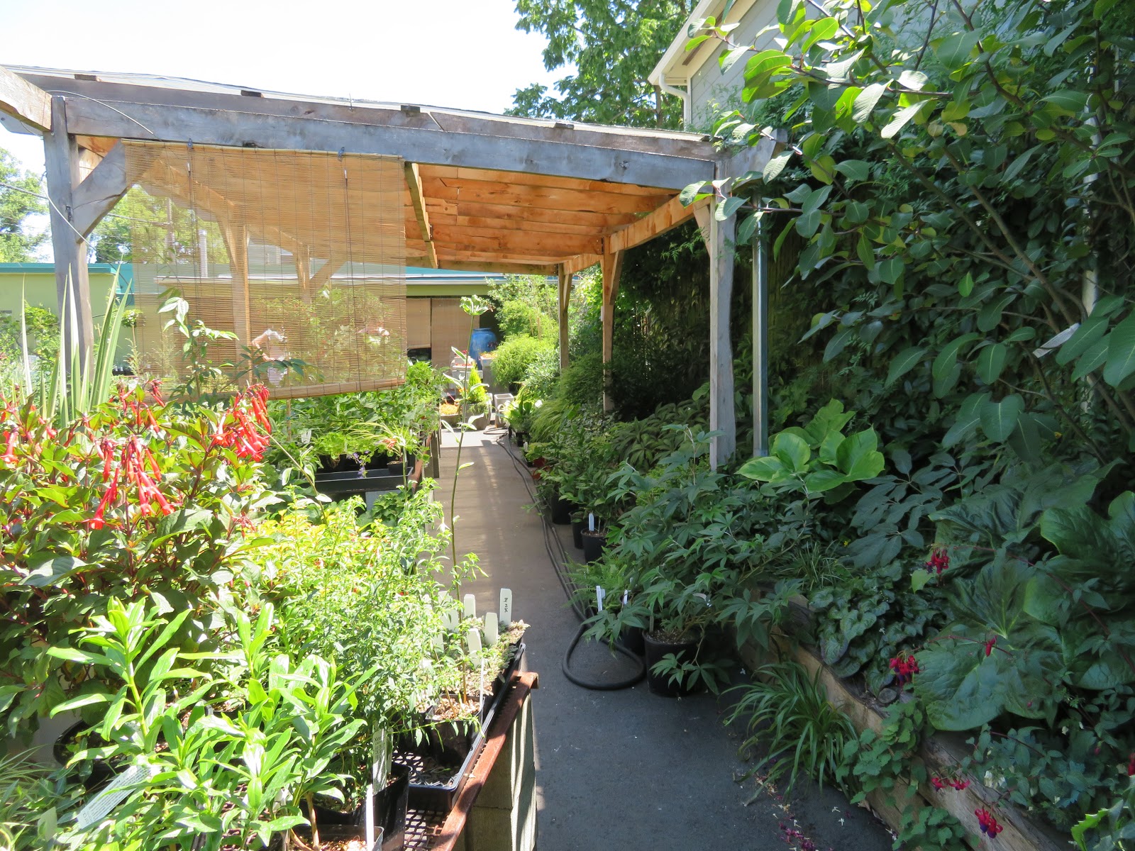 Nursery Visit Xera Plants