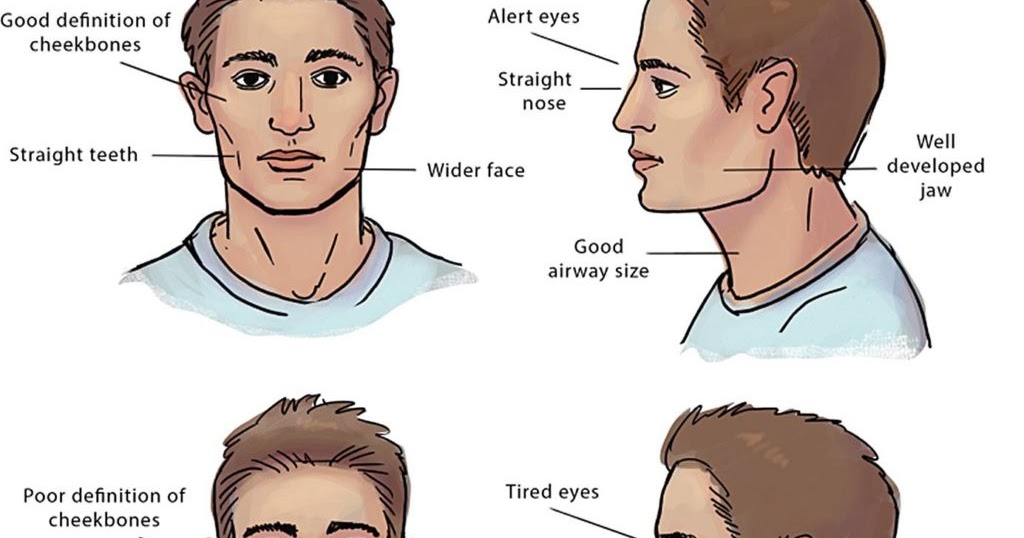 The Harmful Effects Of Mouth Breathing By Coast Dental Singapore why-does-my-cat-s-mouth-hang-open-petsoid