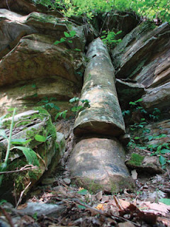 Izotopy do datowania skamielin