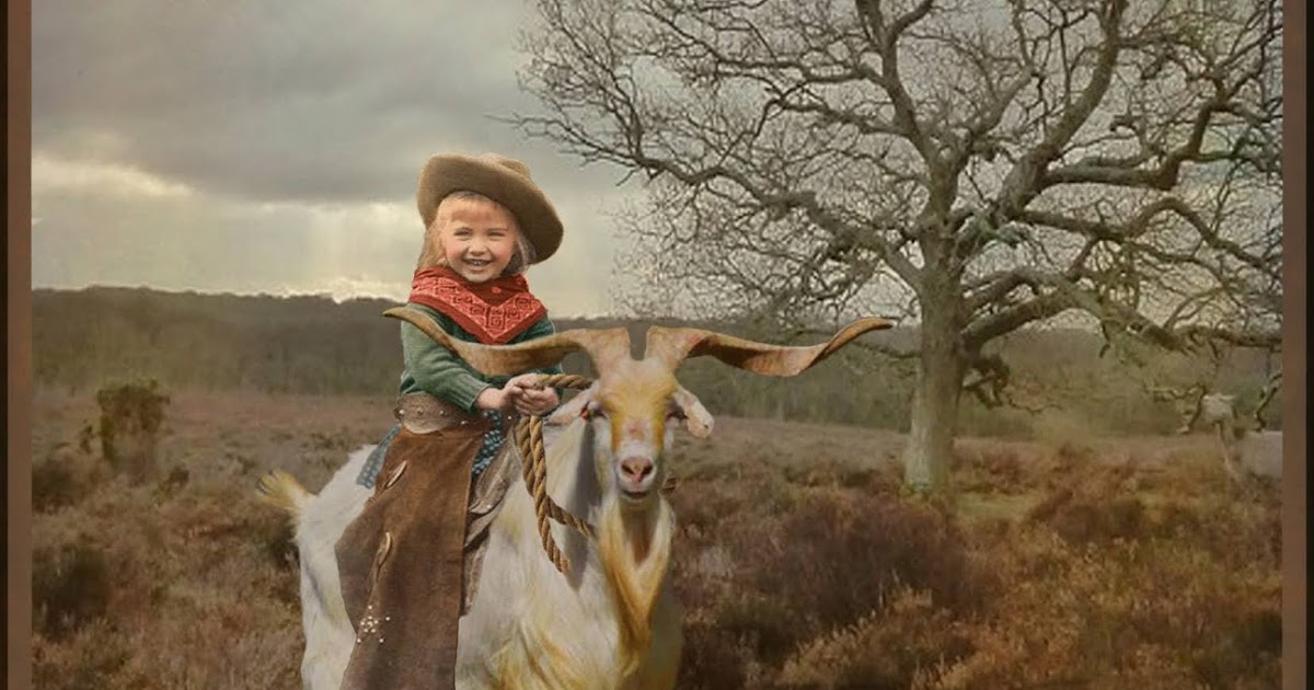 The Stardust Factory... GOAT ROPER... DIGITAL WHISPER's BILLY GOAT