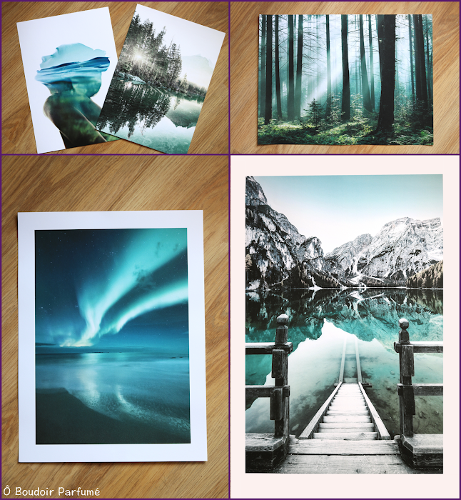 Poster Store une décoration murale nature pour notre chambre [+ code