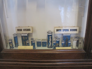Irish Leeches and Irish Spoon Worms