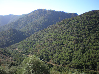 Sierra de córdoba , camino de pedrique , senderismo en Córdoba