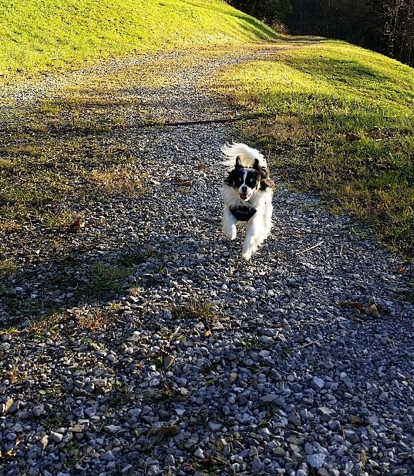 Caspar David Friedrich Kalender Caspar David Friedrich Kalender