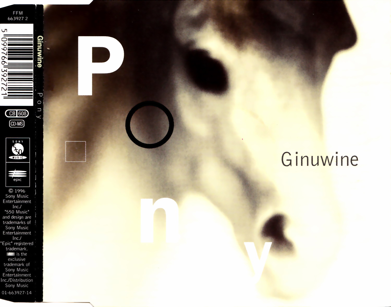 Ginuwine pony. Pony Ginuwine Extended Mix. Ginuwine...the Bachelor album Cover. Pony песня Ginuwine.