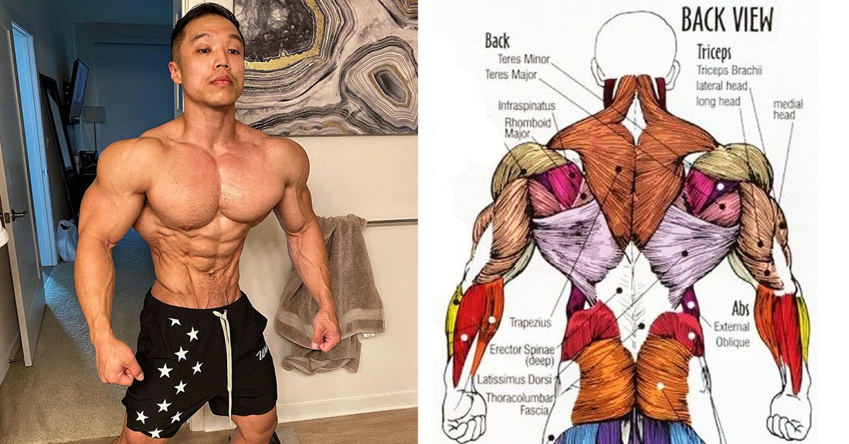 How To Get a Strong VTapered Body In Just 4 weeks SHREDDEDFIT