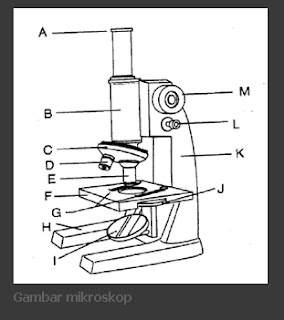Bagian-bagian mikroskop , fungsi dan gambarnya
