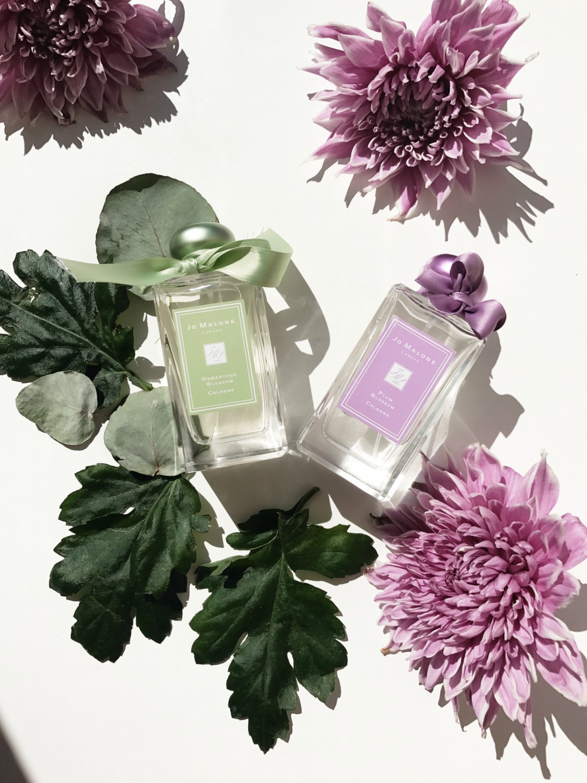 Jo Malone Blossom Belle Collection