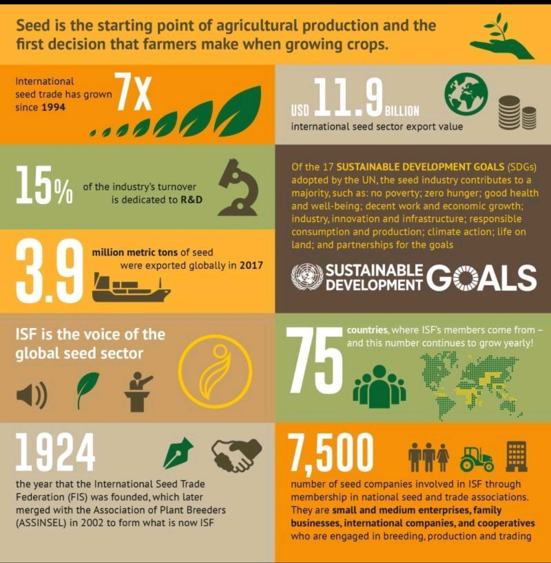 Seed industry for agricultural production