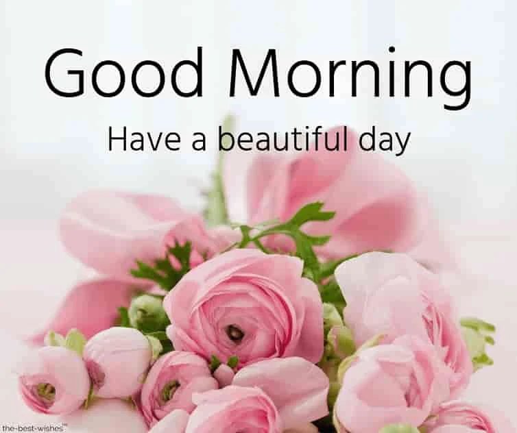 morning with white roses have a beautiful day