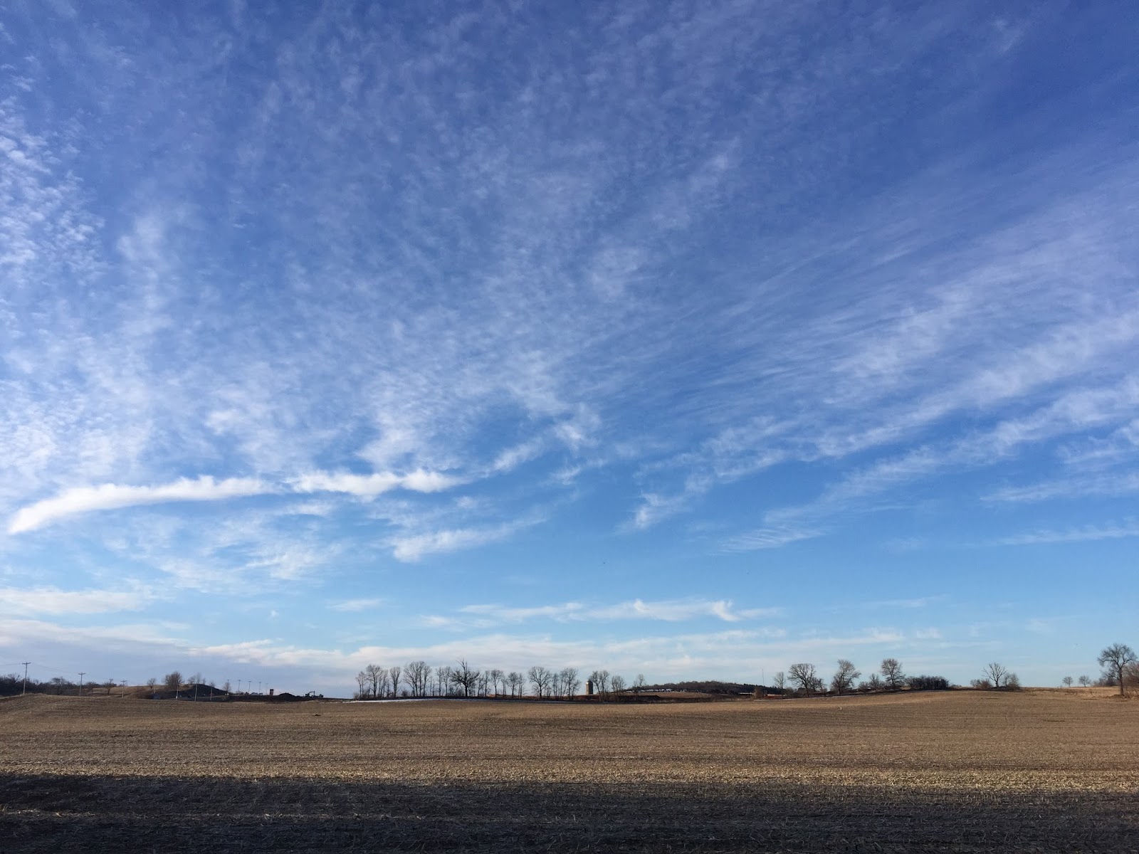 Retiring Guy's Digest UPDATE Bay Farm and Prairie